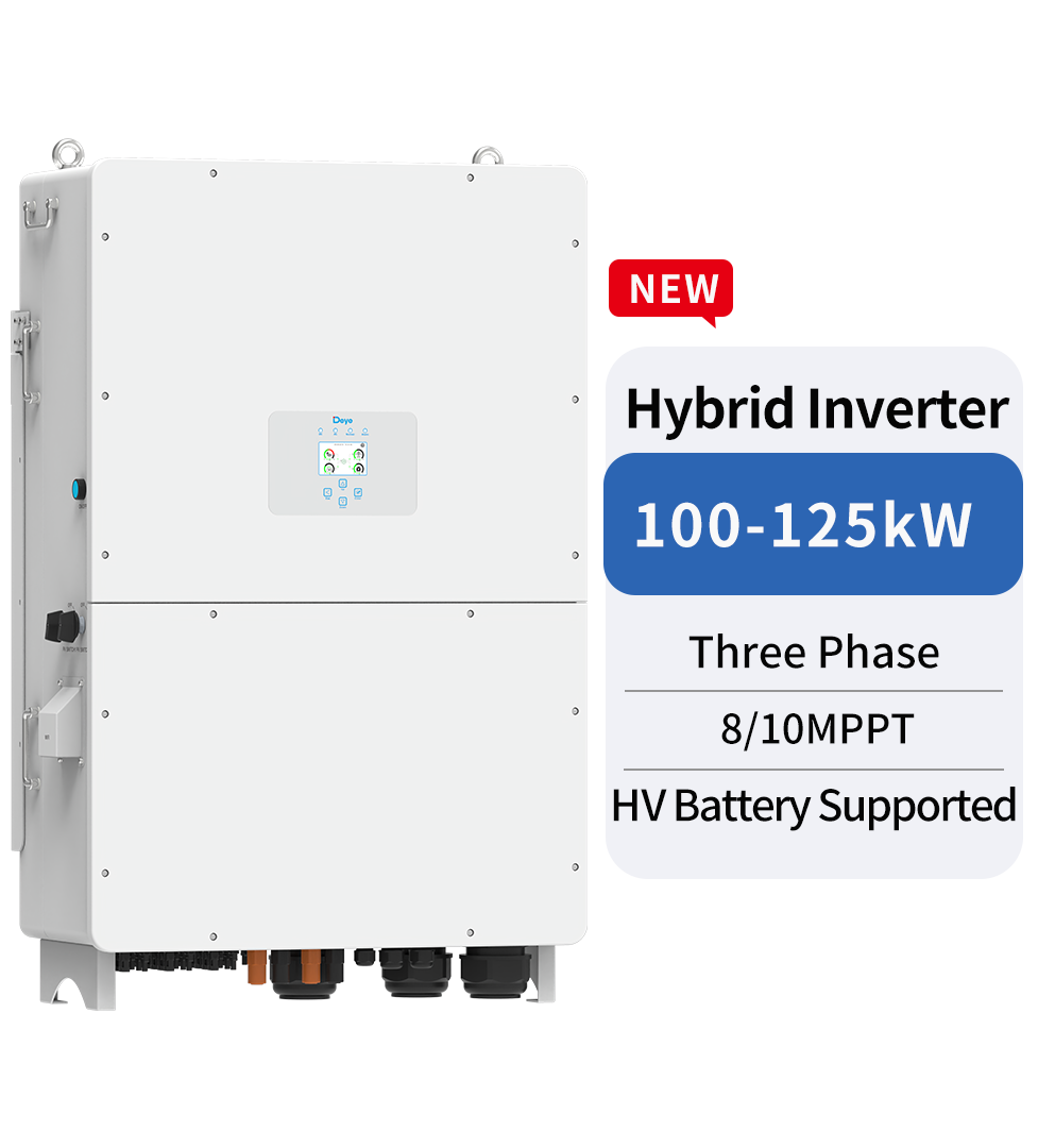 SUN-100/125K-SG02HP3-EU-GM8/GM10 SUN-100/125K-SG02HP3-EU-GM8/GM10